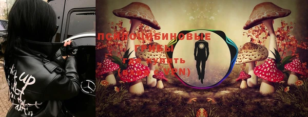 мяу мяу мука Алзамай