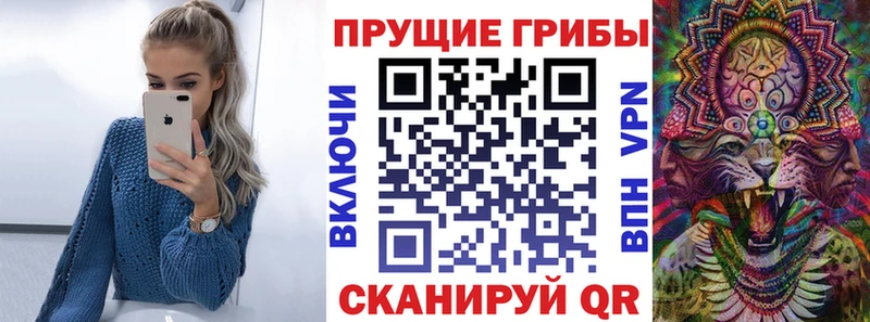 Галлюциногенные грибы GOLDEN TEACHER как найти закладки Канаш