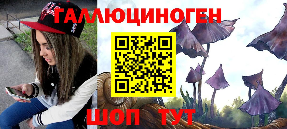 Галлюциногенные грибы мицелий  Вход с VPN  Канаш 